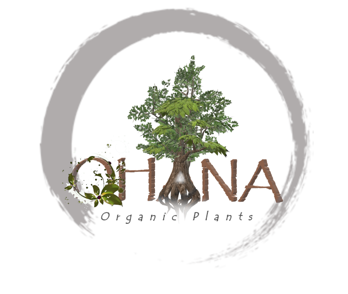 Ohana Organic Plants